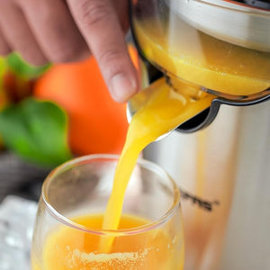 Nikai - Stainless Steel Citrus Juicer © Ⓢ - image 2